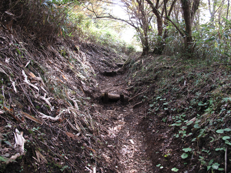 20181025hike (185)